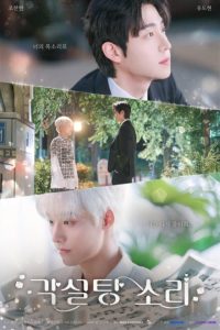 The Sound of Sugar Cubes (2026) poster